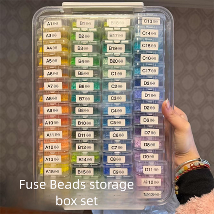 60 Box Storage Set with A4 File Storage Box | Clear PET Organizer for Beads Rhinestones Crafts