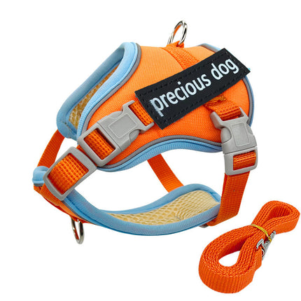 Reflective No-Pull Harness with Leash – Soft Padded, Escape-Proof Vest for Small Dogs