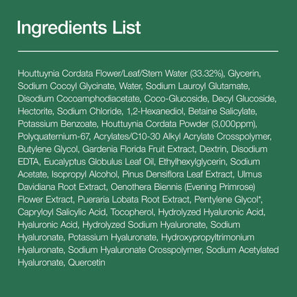 ANUA Heartleaf Quercetinol Cleansing Foam 5.07 fl.oz. (150ml) / Deep Pores & Blackheads Care